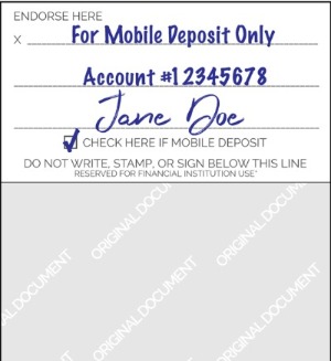 back of check endorsement